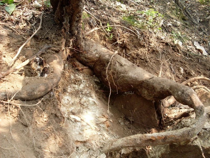 1756278060229593.jpg ABUIABACGAAglcmIwgUo2Mvq0QEwiAU45gM_副本.jpg