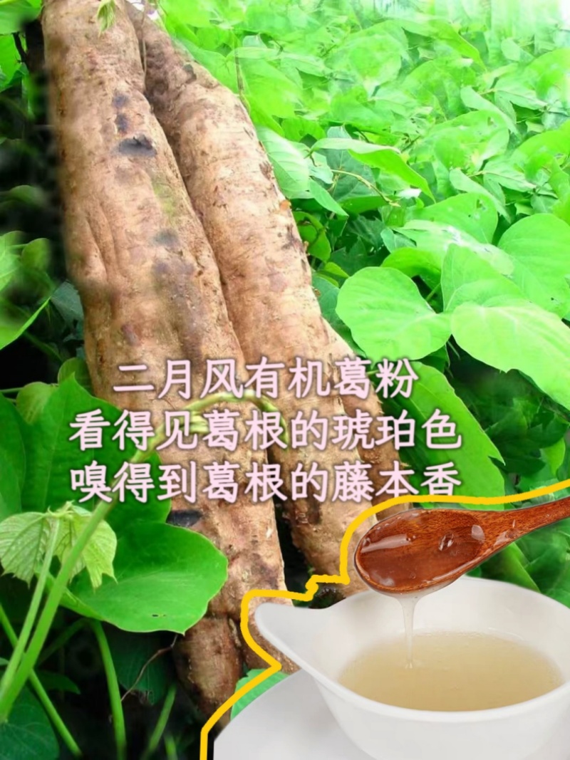 二月風(fēng)有機(jī)葛粉，看得見葛根的琥珀色，嗅得到葛根的藤本香_800.jpg