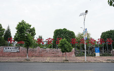 當(dāng)定制葛粉時(shí)，我們真正在選擇什么？