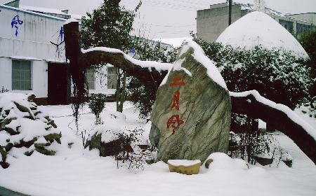 二月風(fēng)致老友：一碗葛根粉的牽掛，農(nóng)博會(huì)上的重逢之約二月風(fēng)盼老友：農(nóng)博會(huì)上，再續(xù)葛粉情緣