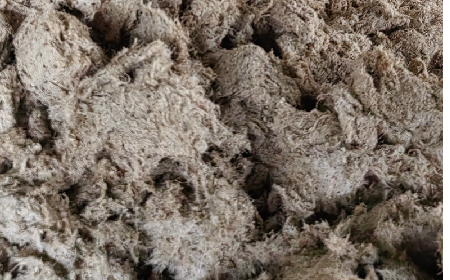 深入大洪山，只為一口純凈 -二月風(fēng)今冬野生葛根收購紀實